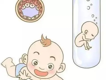 上海好柿花生借卵机构：借卵流程详解，高效便捷