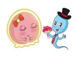 上海好柿花生试管婴儿公司：试管婴儿费