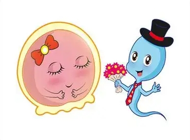 上海好柿花生试管婴儿公司:试管婴儿费用是否昂贵?